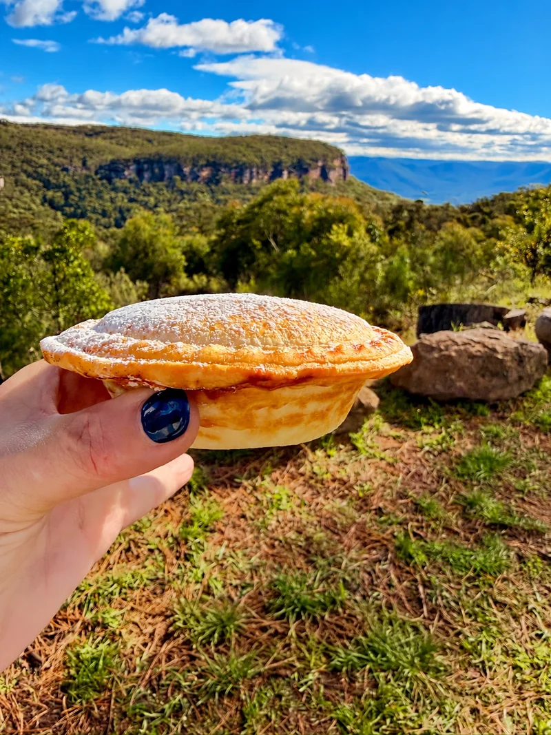 A Logan Brae Orchard pie with mountain views in Blackheath