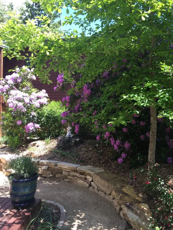 The rock garden and flowering plants